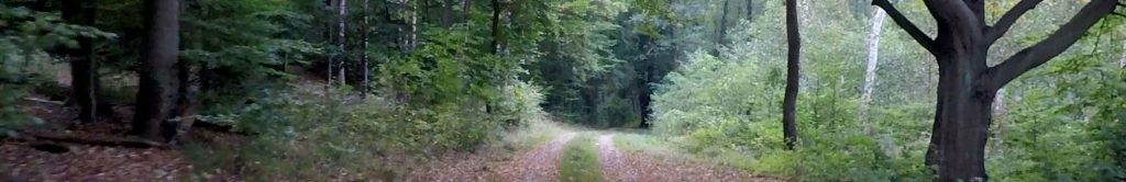 virtual run wood run tv mecklenburg