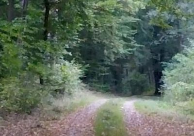 Virtual Trail Run „Mecklenburg“