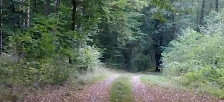 Virtual Trail Run „Mecklenburg“
